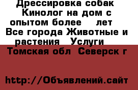 Дрессировка собак (Кинолог на дом с опытом более 10 лет) - Все города Животные и растения » Услуги   . Томская обл.,Северск г.